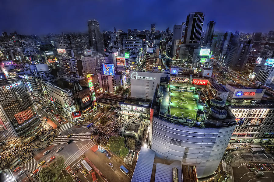 Shibuya city Photograph by Daniel Chui