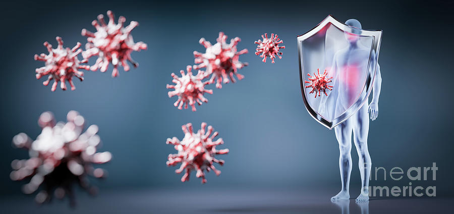 Shield Protection From Coronavirus Covid-19. Conceptual Immunity To Coronavirus Photograph