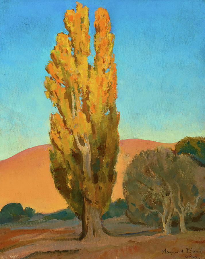 Tree Painting - Shifting Light on a Poplar, 1930 by Maynard Dixon