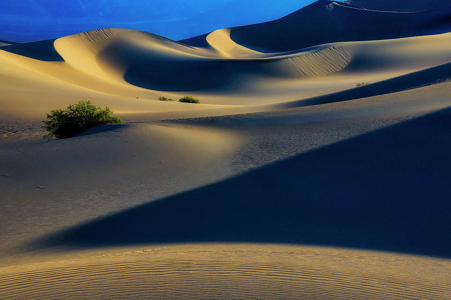 Shifting Sands by Garry Gay