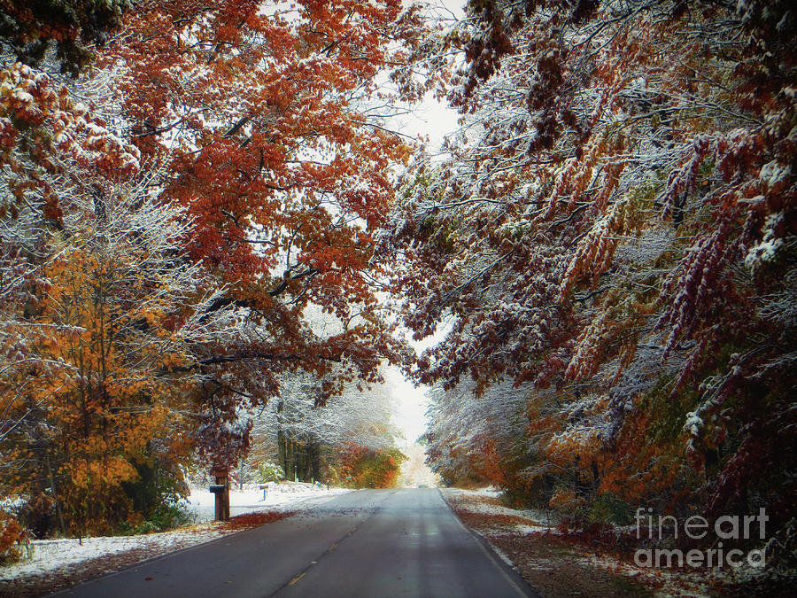Shifting Seasons Photograph by AnnMarie Parson-McNamara