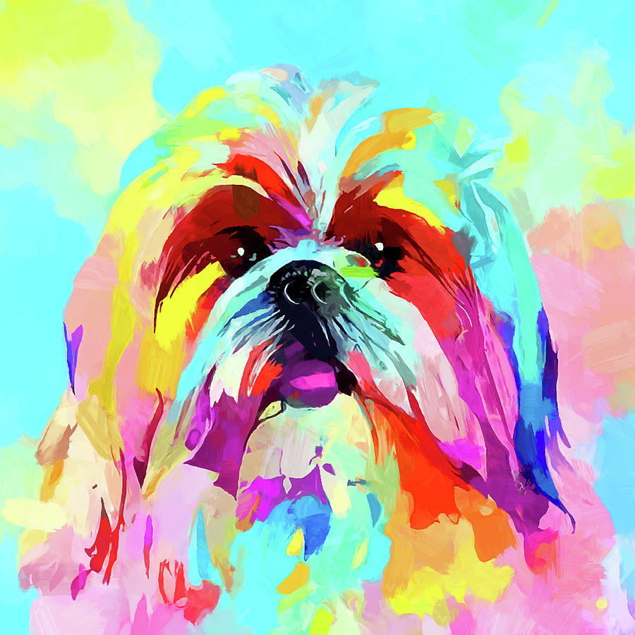 Shih Tzu 14 Painting by Chris Butler - Fine Art America