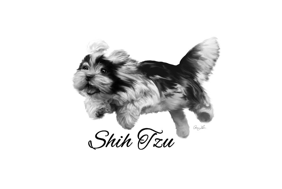 Shih Tzu by Ann Lauwers Shih Tzu by Ann Lauwers
