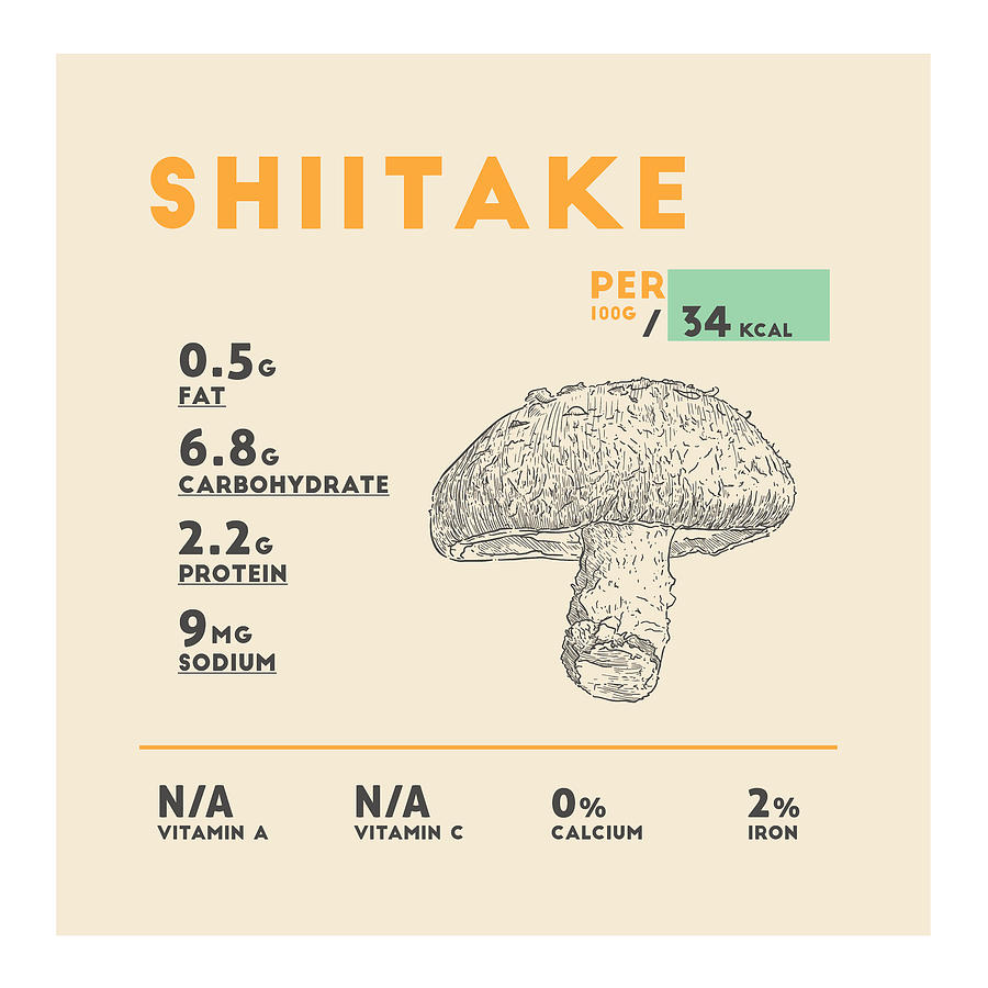 shiitake-mushroom-nutrition-facts-drawing-by-info-eats-pixels