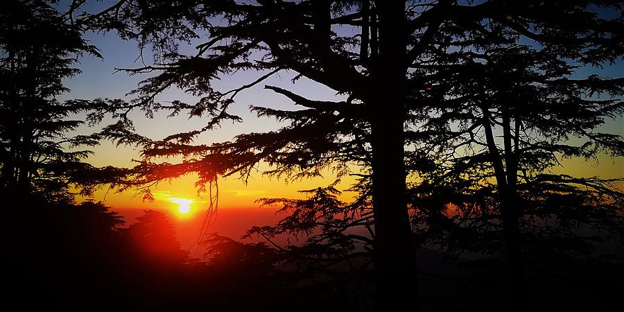 Shimla Sunset Photograph by Jarek Filipowicz