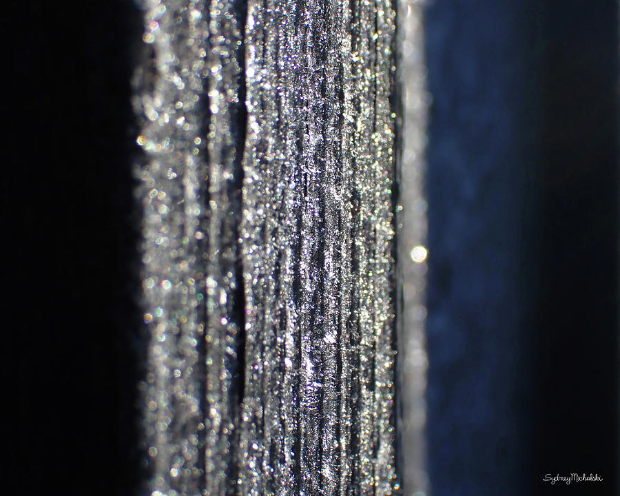 Shimmer Photograph by Sydney Michalski Shimmer Photograph by Sydney Michalski
