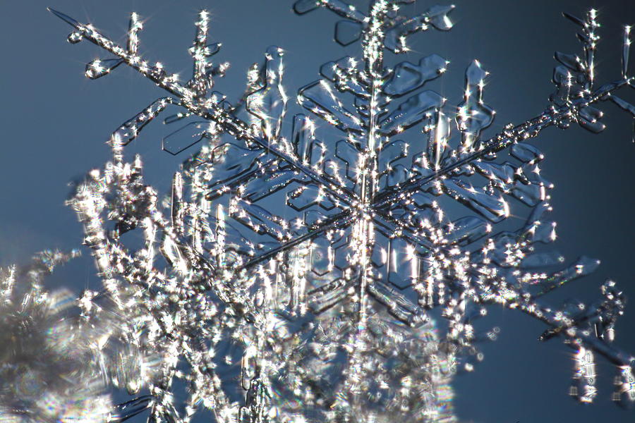 Shimmering snowflake Photograph by Ulrich Kunst And Bettina Scheidulin