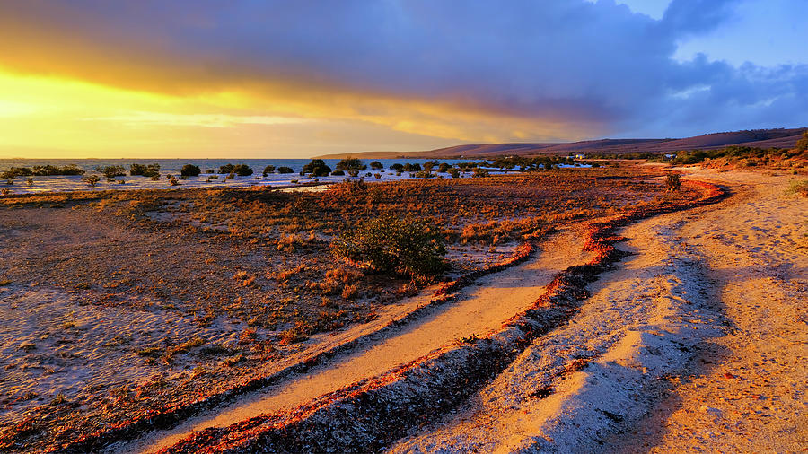 Shingle Beach Sunrise - South Australia Photograph by Lexa Harpell