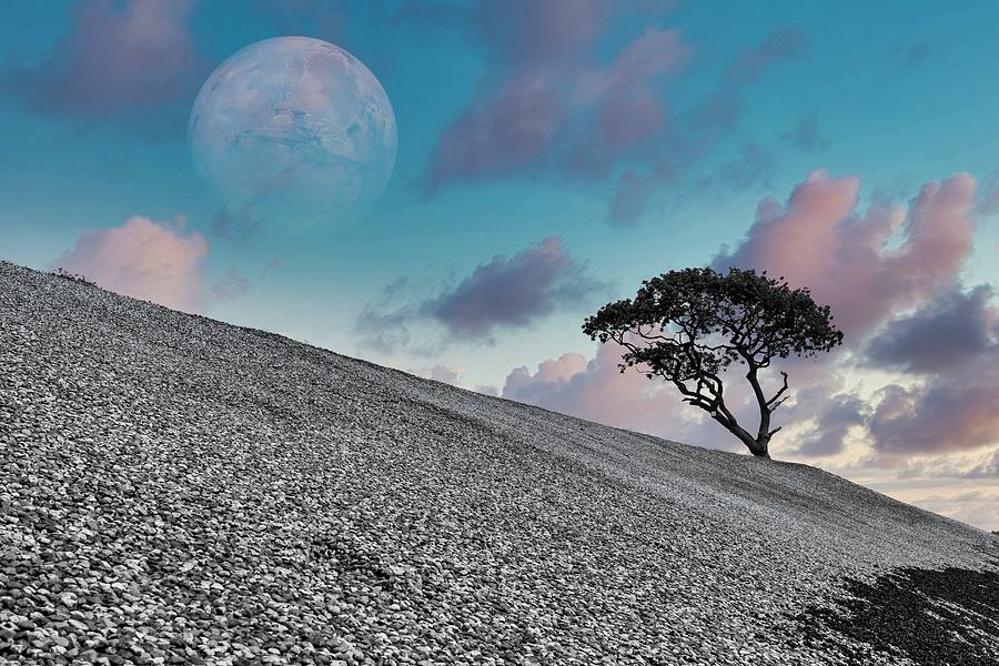 Shingle Tree Moon Digital Art by Roger Lighterness