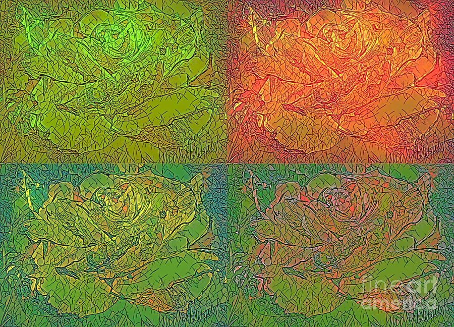 Shining Roses Digital Art