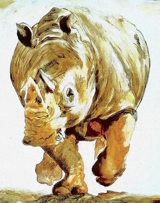 Shining the Light on Rhinos Digital Art by Loraine Yaffe