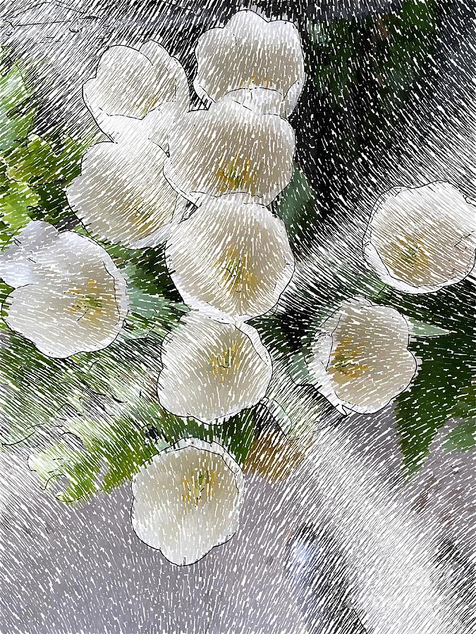 Shining White Tulips Digital Art