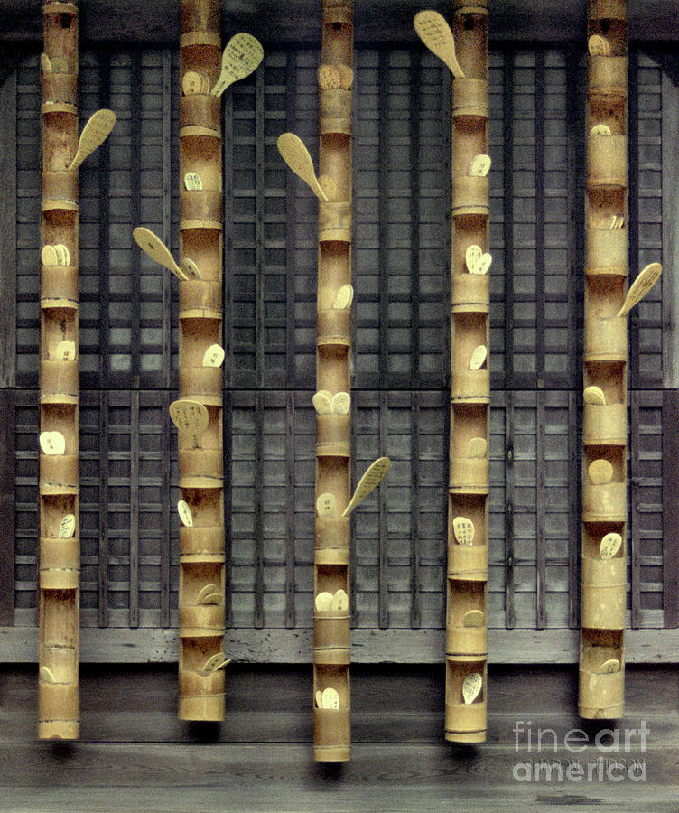 Shinto shrine traditions - Rice Paddles I Photograph by Sharon Hudson