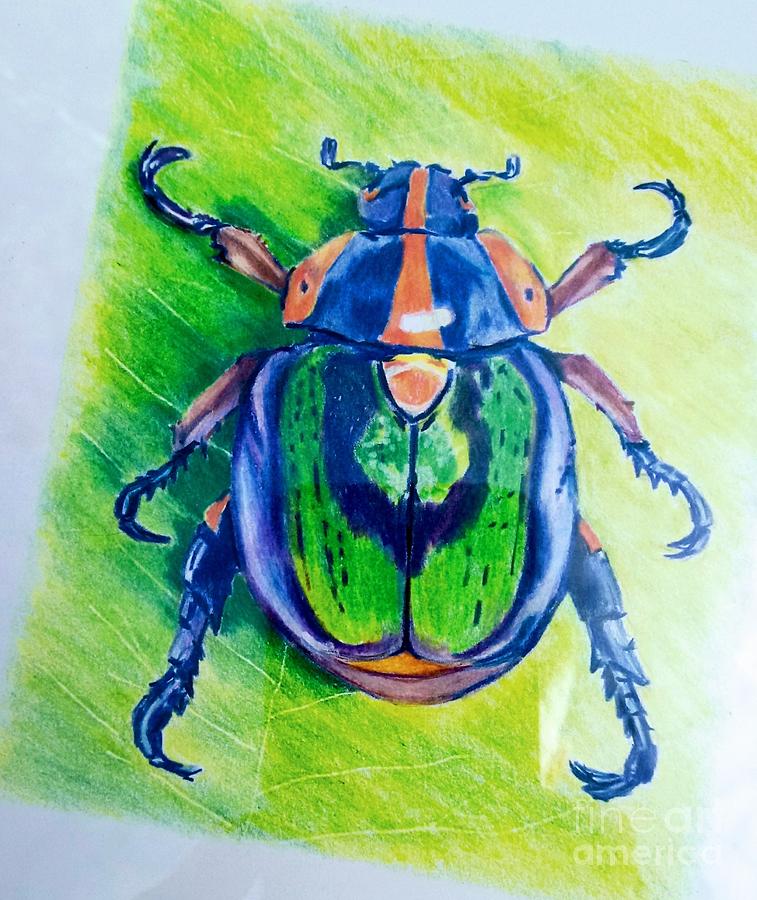 Bugs Drawing - Shiny Bug by Ilona Halderman
