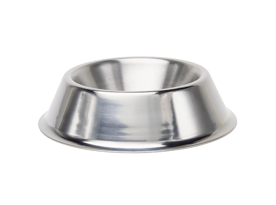 Shiny metal dog bowl Photograph by Carol Sharp