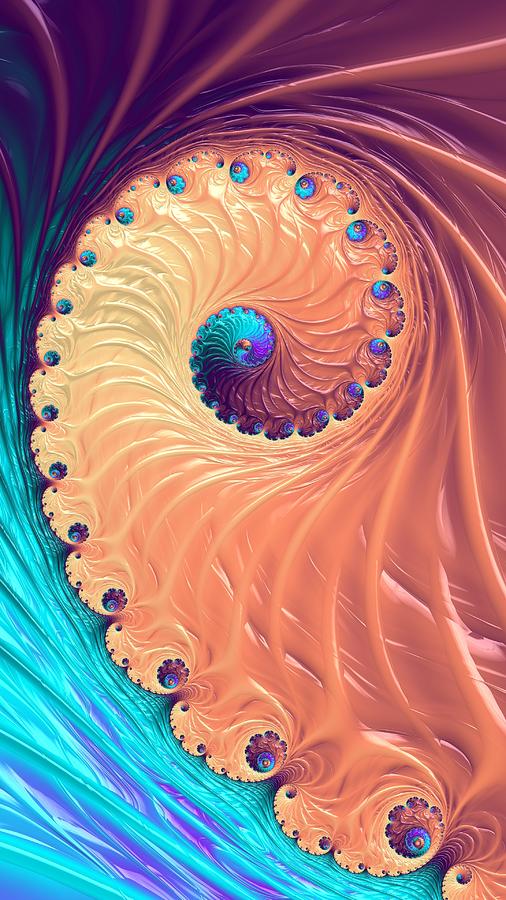 Shiny Orange Nautilus Shell Fractal Spiral  Digital Art by Shelli Fitzpatrick