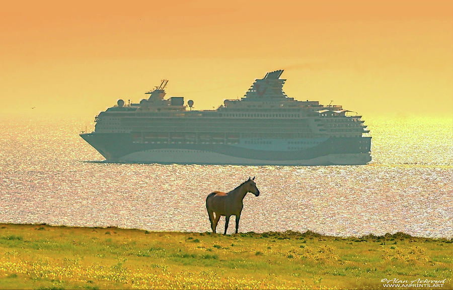 Ship and horse, near the shore. Photograph by Alan Ackroyd