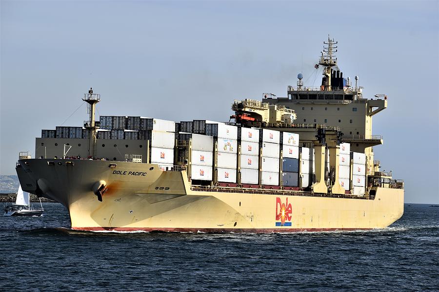 Ship Cargo to South America Photograph by Roberta Byram