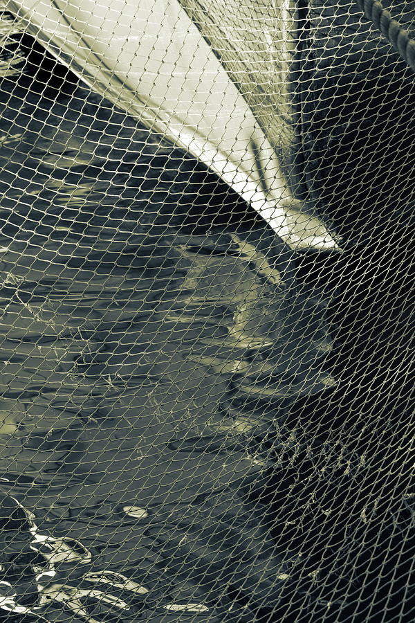 Ship railing net and water pattern in a harbor bay - duotone Photograph by Ulrich Kunst And Bettina Scheidulin