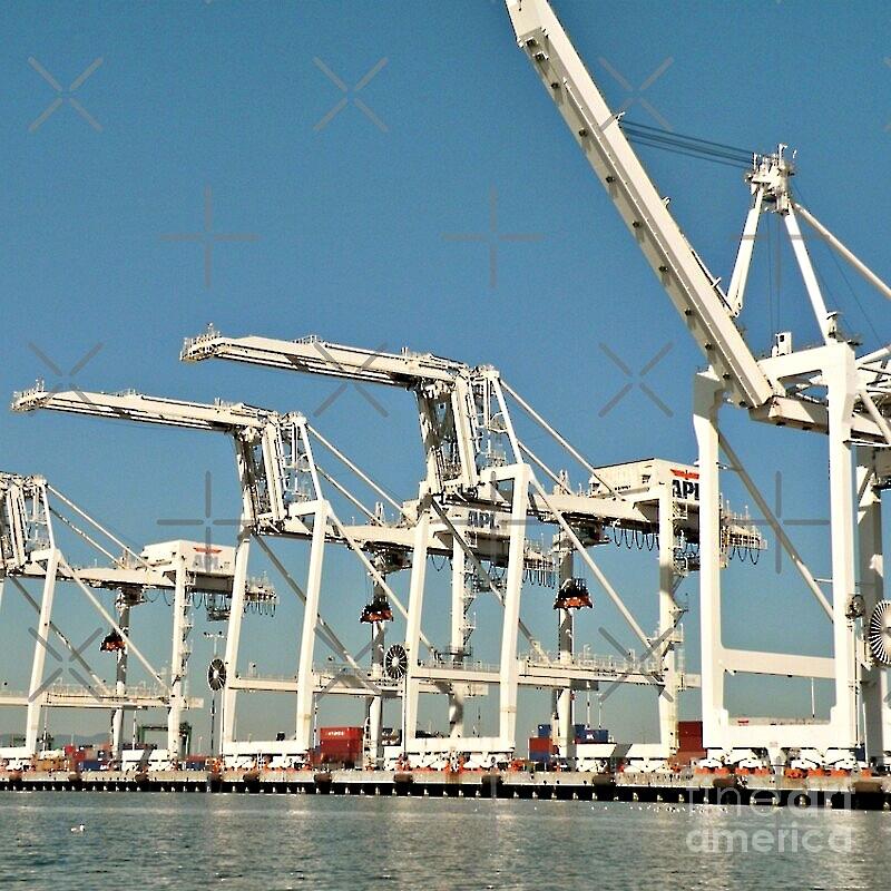 White Crane Photograph - Shipping Cranes at the Port of Oakland by Martha Sherman