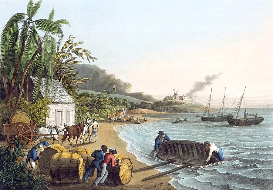 Beer Drawing - Shipping Sugar by William Clark