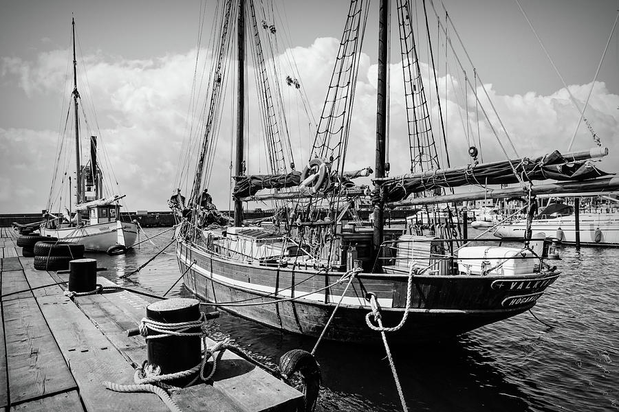 Ships in the Harbor Black and White Photograph by Debra and Dave Vanderlaan