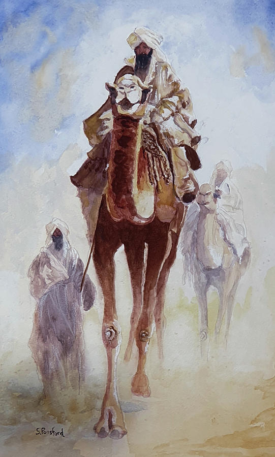 Camel Painting - Ships of the desert by Steven Ponsford