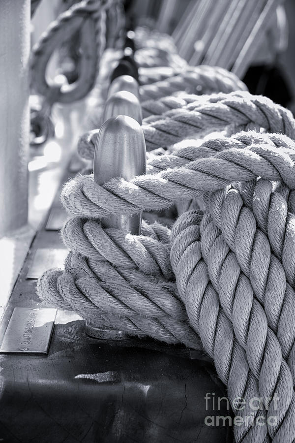 Ships Ropes Photograph by Lynn Bolt