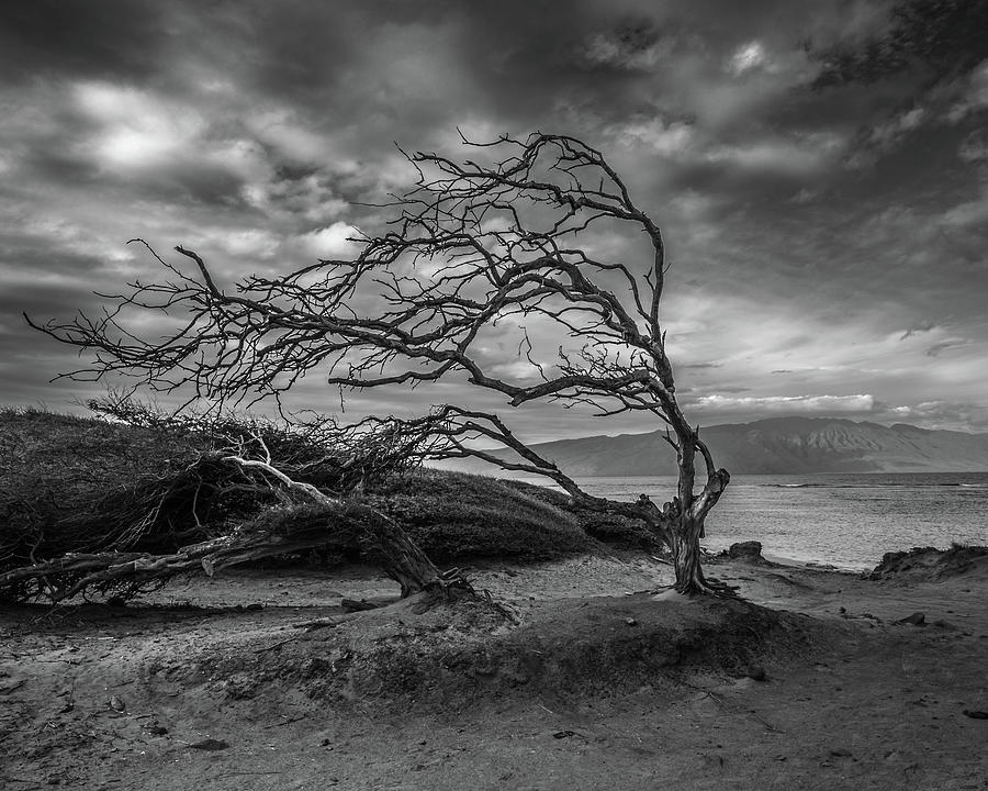 Shipwreck Beach Photograph by Michael DeGrenier Shipwreck Beach Photograph by Michael DeGrenier