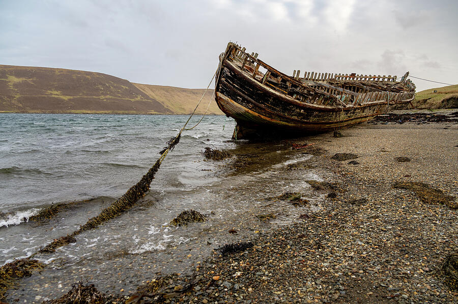 Shipwreck Skeleton Photograph by Alicia Glassmeyer