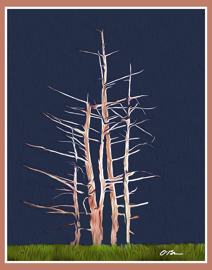 Tree Mixed Media - Shipwreck Trees by Claudia OBrien
