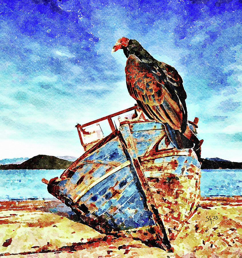 Shipwreck with Vulture-Scavenger Hunt  Mixed Media by Shelli Fitzpatrick