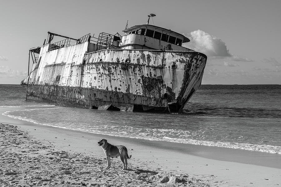 Shipwrecked Photograph by Arthur Oleary