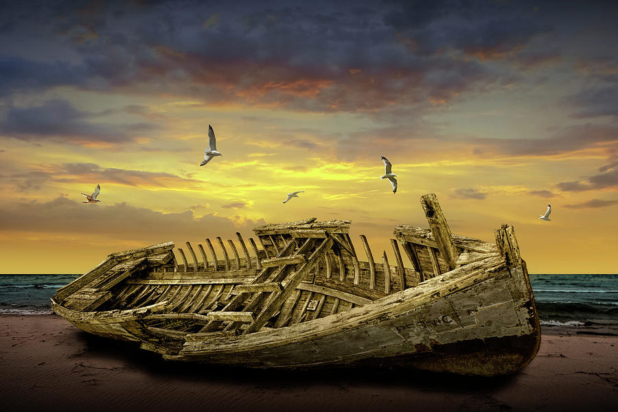 Shipwrecked Boat at Sunset on a Beach with Gulls Photograph by Randall Nyhof