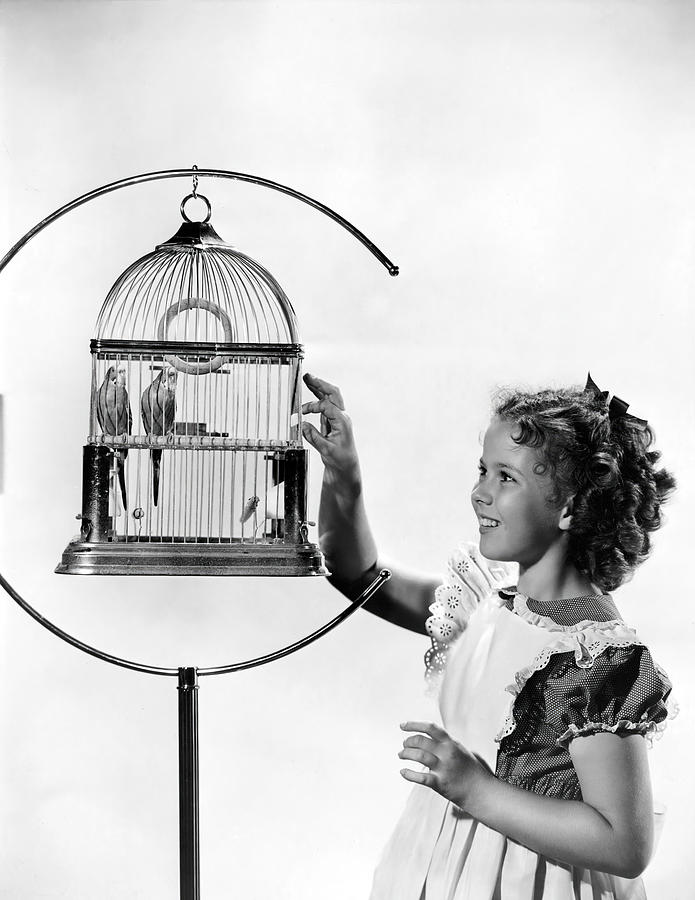 Shirley Temple Photograph - SHIRLEY TEMPLE in THE BLUE BIRD -1940-, directed by WALTER LANG. by Album