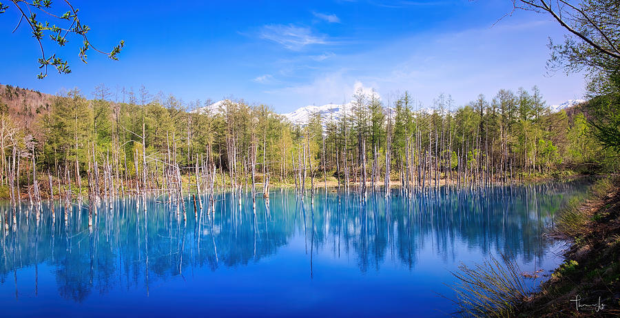 Shirogane Blue Pond - Mirror Lake, Hokkaido, Japan Photograph by Thomas ...