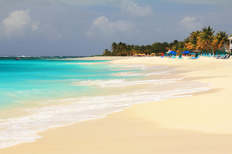 Shoal bay beach anguilla cute painting by hughes leah fine art america