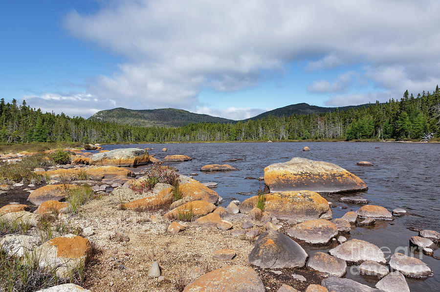 Shoal Pond - Pemigewasset Wilderness New Hampshire USA Photograph by Erin Paul Donovan