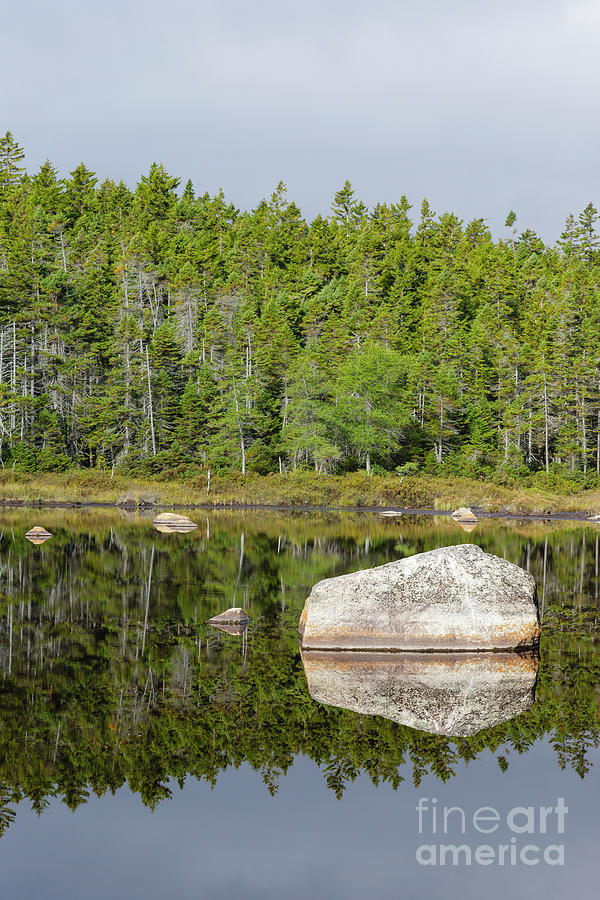 Shoal Pond - White Mountains New Hampshire Photograph by Erin Paul Donovan