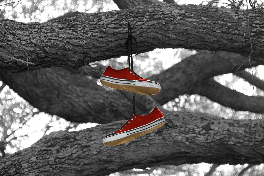Tree Photograph - Shoe Tree by Mike McGlothlen