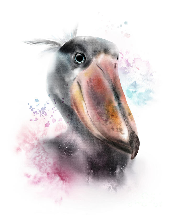 Shoebill Exotic Bird Painting Digital Art by Chiho Watanabe
