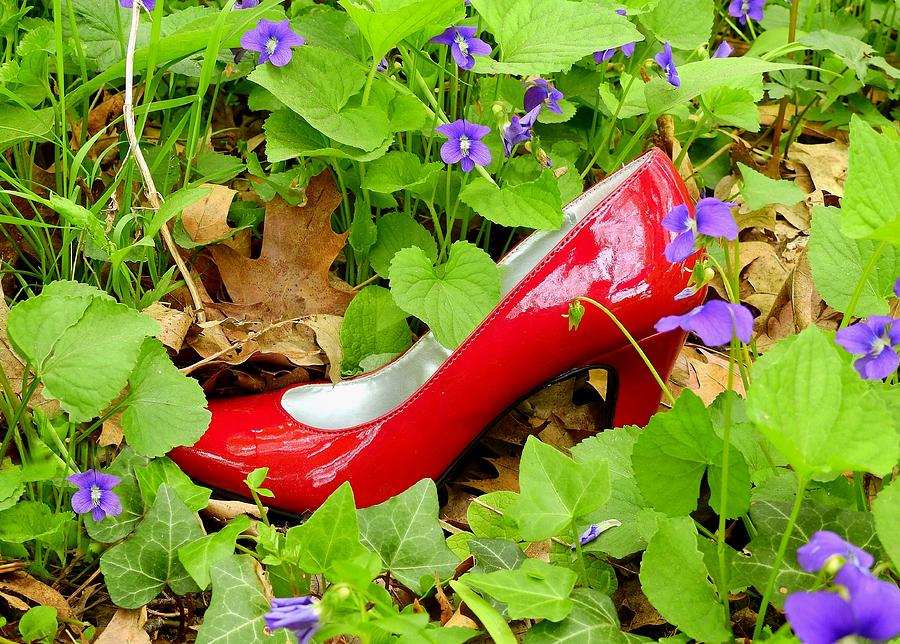 High-heels are Red, Violets are Blue Photograph by Carmen Macuga | Fine ...