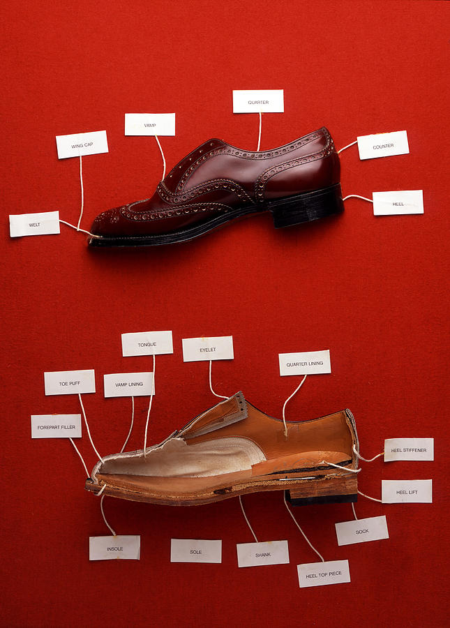 Shoes Explained Photograph by Pidjoe
