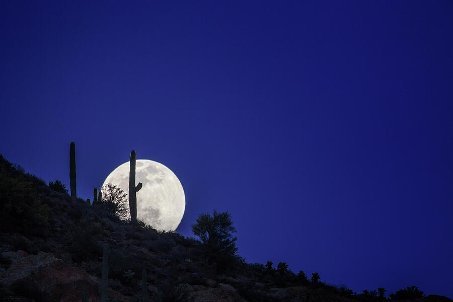 Shoot the Moon Photograph by Rick Furmanek