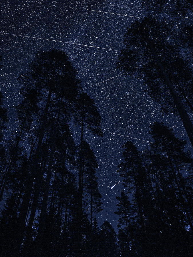 Shooting stars collage Photograph by Jouko Lehto