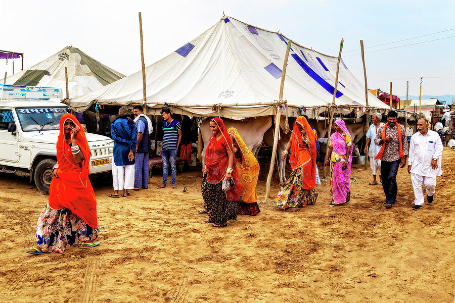 Desert Photograph - Shopping At the Camel Fair by Kay Brewer