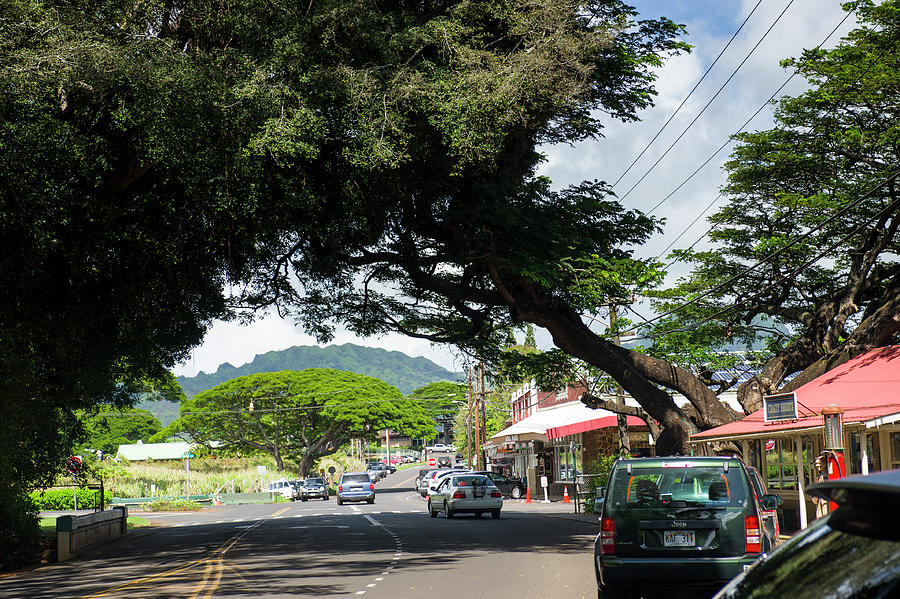 Shops along Koloa Road, Kauai Photograph by David L Moore