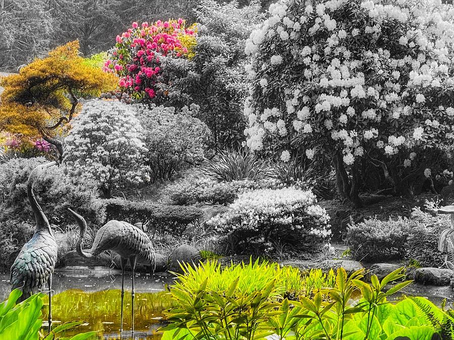 Shore Acres Gardens color splash Mixed Media by Bonnie Bruno