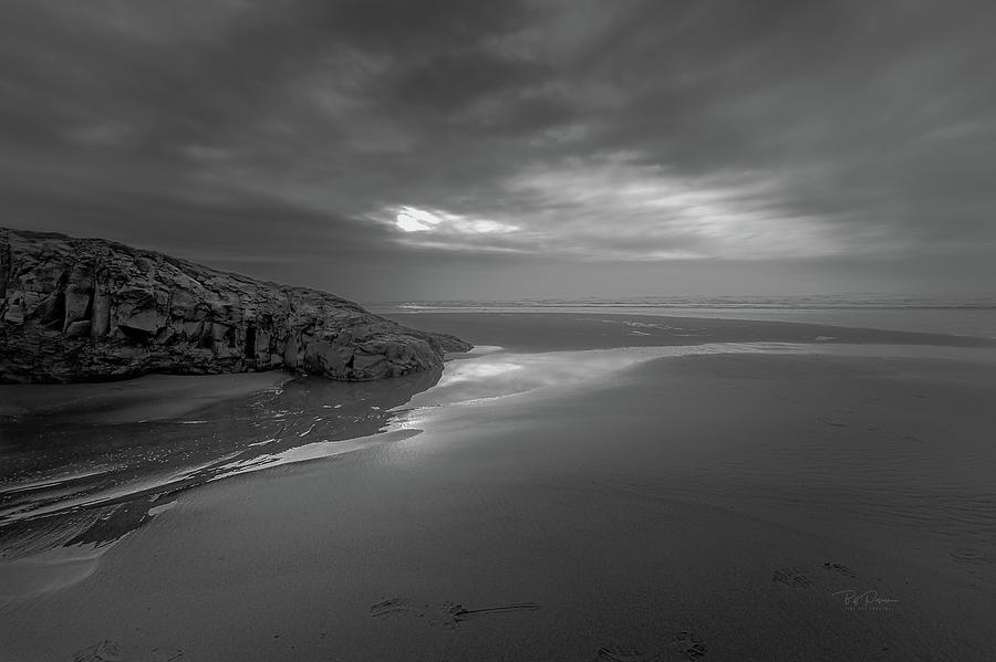 Shore Afternoon BW Photograph by Bill Posner