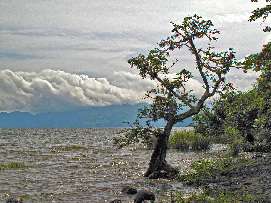 Shore of Lake Catemaco, Veracruz, Mexico Photograph by Lorena Cassady